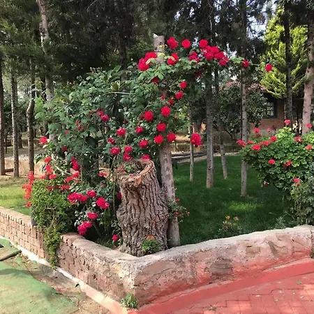 Paradise Villa